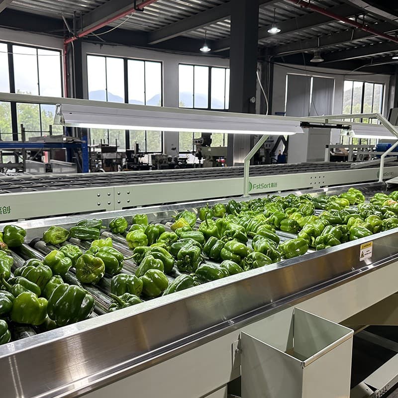 images/1697183996529bell peppers sorting line price.jpg